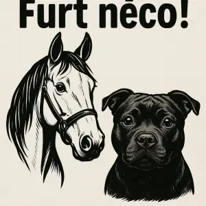 v horní části napis "Furt něco!" pod nápis poskládej obrázky : hlavu koně, jednu hlavu černeho stafordsirskeho teriera