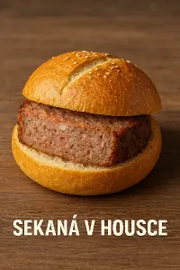 sekaná v housce