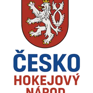 Na přední straně by měla být znak české republiky pod znakem nápiš ČESKO modré barvy a pod HOKEJOVÝ NAROD