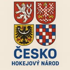 Na přední straně by měla být znaky vsechny české republiky pod znakem nápiš ČESKO modré barvy a pod HOKEJOVÝ NAROD
