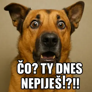 reálný překvapený pes s textem "Čo ? Ty dnes nepiješ !?!