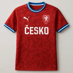 Hej ten dres zepředu který jsem vygeneroval tak aby ten dres byl takový co jsem poslal ne co oni navrhli