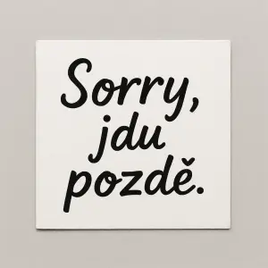 sorry, jdu pozdě
