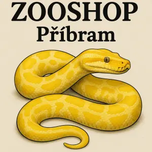 Velký žlutý had krajta a nápis ZOOSHOP Příbram