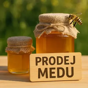 prodej medu včely