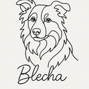 Jméno psa Blecha a obrázek psa border kolie one line