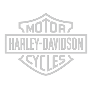 Vygeneruj obrys loga harley - davidson v svetle sede barve