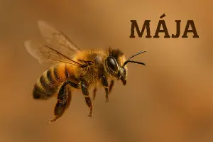 Obrázek letící včely ( zvířete, ne pohádkové postavy)s nápisem Mája