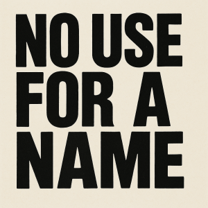 No Use For a Name