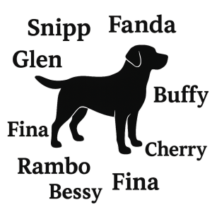 Silueta labradora a kolem jména Snipp Fanda Glen Buffy Cherry Fina Rambo Bessy