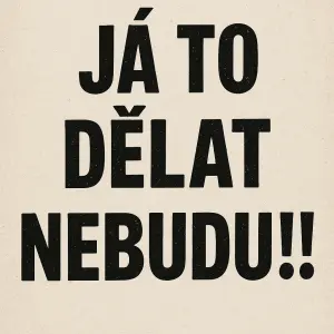 text: Já to dělat nebudu!!!