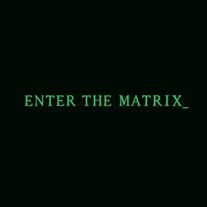 "Text 'Enter the Matrix' uprostřed nahoře s kurzorem (podtržítko) fontem Matrix s pozadím klasického terminálu