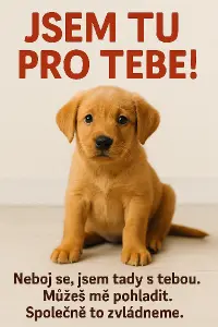 text pro štěně, které bude v ordinaci u dětí