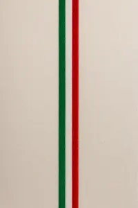 Navrhni mi na výšku pruhy italské trikolory šíře pruhu 0,7cm na záda podel páteře