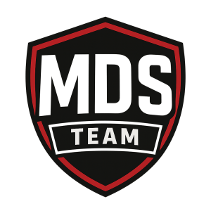 Vygeneruj logo MDS týmu - jaké jsem nahrál