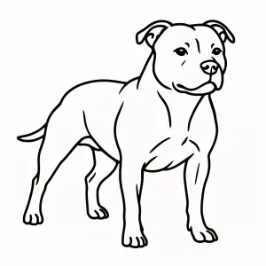 obrys staffbul