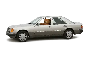 Celý pohled lehce z boku na stříbrný Mercedes benz w124. Řidič je vysmátý plyšový hnědý medvěd. Obrázek je bez pozadí.
