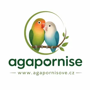 Navrhni mi logo agapornise www.agapornisove.cz