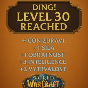 DING! LEVEL 30 REACHED s popisem různých stats z herního světa Worl of Warcraft
