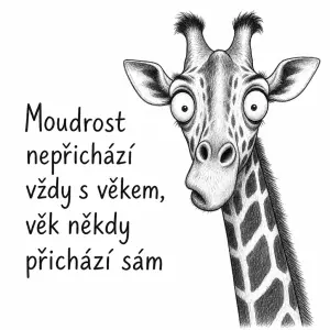 Chci černobílou kresbu vykulené žirafy k textu Moudrost nepřichází vždy s věkem, věk někdy přichází sám