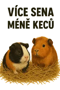 Více sena méně keců slogan a jedná se o morčata