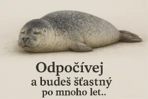 ležící realistický tuleň a pod ním nápis odpočívej a budeš šťastný po mnoho let..
