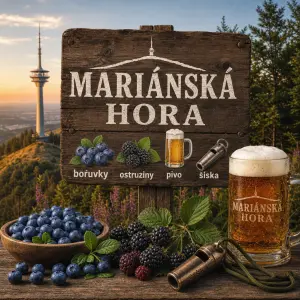 MARIÁNSKÁ HORA boruvky ostruziny pivo siska
