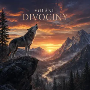 Volání divociny