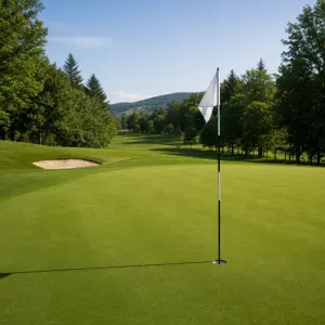 Golfove hole, green