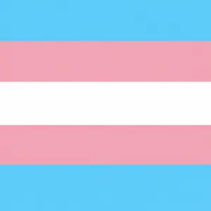 Transgender vlajka