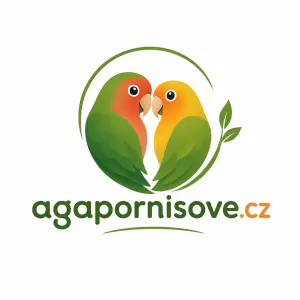 Navrhni mi logo pro web www.agapornisove.cz