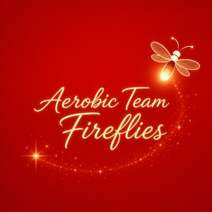 Vánoční červené jednoduché pozadí se světluškou a nápisem Aerobic Team Fireflies