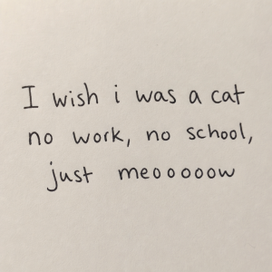 Skroo rukou psaný text: I wish i was a cat, no work, no school, just meoooow