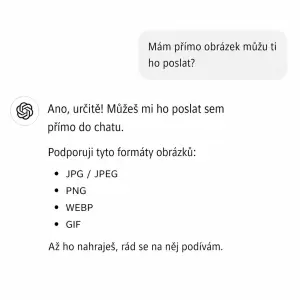 Mám přímo obrázek můžu ti ho poslat?