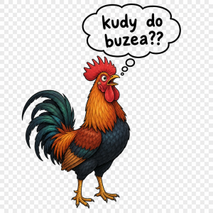 Kohout co má nad hlavou bublinu kde je napsáno ,,kudy do buzea??" Bez bílého pozadí