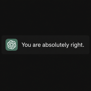 AI odpověď stylu "you are absolutly right" po tom, co napsala nějakou blbost.
