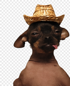 ODSTRANIT POZADÍ