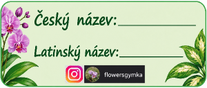 Obrázek by měl být větší do výšky, aby zabral celou plochu samolepky. Ale text i vše na obrázku nesmí být změněno. Jen zvětšit o 20 procent do výšky.