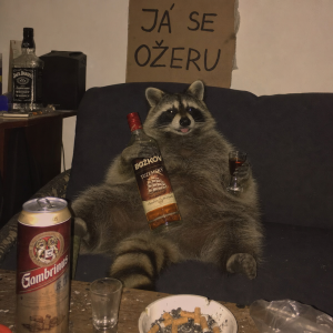 Já se ožeru