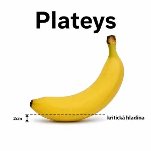 Koskabanana
jméno -Plateys
obrázek banán
ryska 2cm ode dna s nápisem -kritická hladina