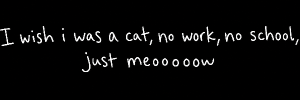 Přidej čárku za slovo cat