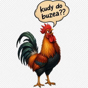 Kohout co má nad hlavou bublinu kde je napsáno ,,kudy do buzea??" Bez bílého pozadí