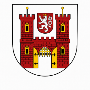 Odebrat název Havlíčkův Brod