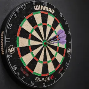 šipkařský terč winmau se třemi světle fialovými šipkami ve středu terče. otoč tento terč lehce do leva