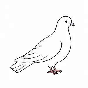 jednoduchý minimalistický kreslený obrázek holuba