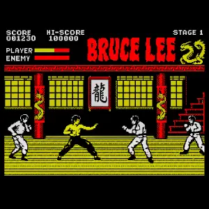 https://www.ebay.co.uk/itm/115941481807 Hra bruce lee jako byla na ZX Spektrum. Deep thinking.