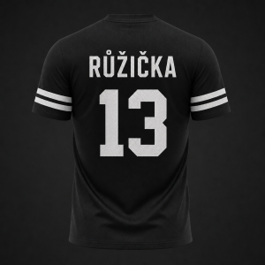 CHCI DVA BÍLÉ PRUHY NA RUKÁVECH ABY TO VYPADALO JAKO DRES