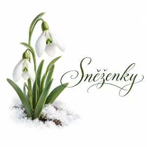Udělej mi obrázek sněženky a vedle nápis sněženky a ať je psacím písmem nebo nějakým okrasným