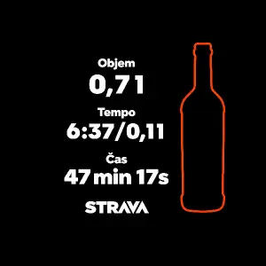 využij pouze text a obrys lahve vína