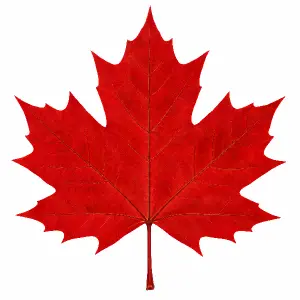 Javorovy list - kanada